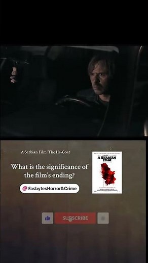 A Serbian Film: One of the most controversial and shocking horror movies ever made.