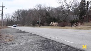 Biofuel breakthrough: Quick cook method turns algae into oil