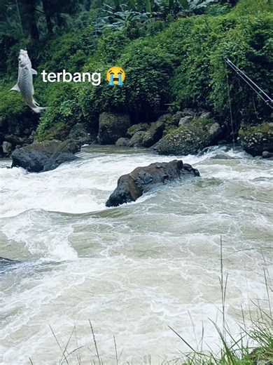 Fishing for Mahseer: The Ultimate Experience