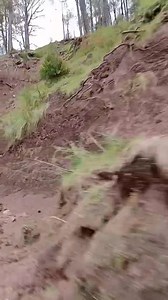 7M views · 487K reactions | Amazing view | طاہر حافظ | Facebook