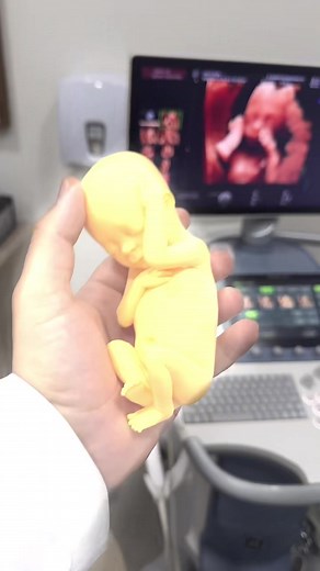 SCIMAGEM e Na Rota do Pedal no TikTok