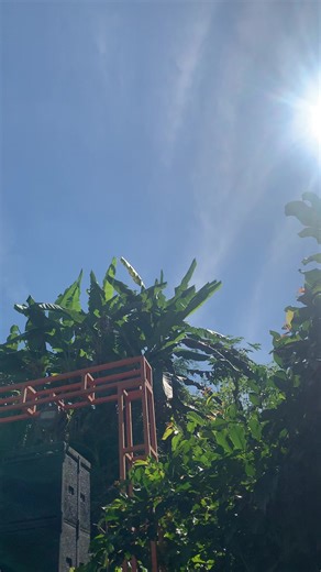 Sound e seng cilik opo kucinge seng sak pedet😅😅😅#miniatursoundsystem #soundminiatur #wonogiri24jam #bulukerto #soundsystem