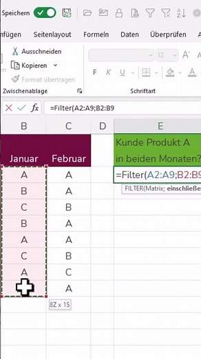 EXCEL Filter-Funktion mit mehreren Kriterien #deutsch