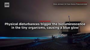 A photographer captured video of dolphins glowing as they glide through bioluminescent ocean water at night https://cnn.it/2VKl55F | CNN International