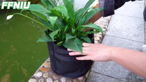 Lily Plant Pots for Pond, 6Pack Aquatic Planter for Pond, Durabl Breathe Reusable Fabric Plant Pots for Aquatic Plants, Potato