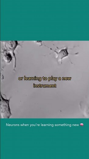 The power of neuroplasticity