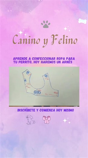 Moldes de Arnés para Perros: ¡Hazlo Fácilmente!