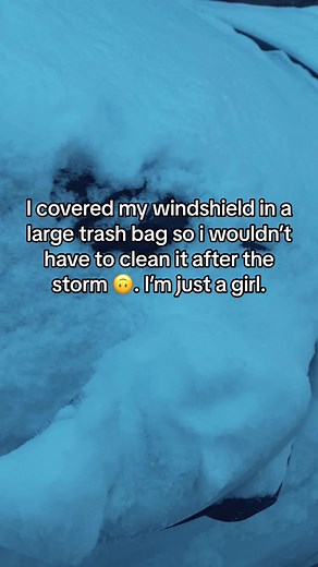 Snowstorm Car Hack: Eco-Friendly Girl Hacks for Clean Windshield