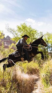 47K views · 1.7K reactions | Malibu is an excellent all around mule. We herd cattle, ride trail, hop rocks, rope, pack and do just about everything else on her. She is going to make an awesome mule for somebody! Visit BroncsandDonks.com to find more info on her! | Broncs and Donks | Facebook