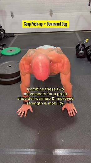 Scap Push-Up and Downward Dog for Shoulder Mobility