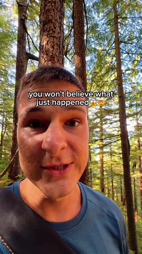 first bear i’ve ever seen and hopefully the last😭 | bear