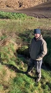 BEST PRACTICE FARMING. | Groundswell NZ