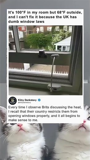 uk window laws are a crime 💀 | funny memes | dank memes | relatable american memes 🇺🇸