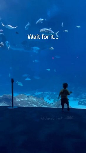 lVlatman on Instagram: "Aquarium"