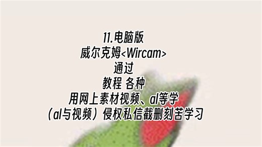 【神泯版教学之威尔克姆的努力】Wilcom教种(刺绣制版的刺绣/电绣软件教学)11.电脑版威尔克姆通过用网上素材、al等学（侵权私信截删刻苦学习 教学1