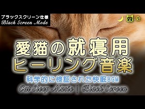 Cat Sleep Music 12 Hours | Black Screen Deep Sleep BGM with Waterfall & Candlelight for Calm Cats