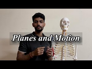 Planes of Movement Made Simple | SET Education | ACE exam