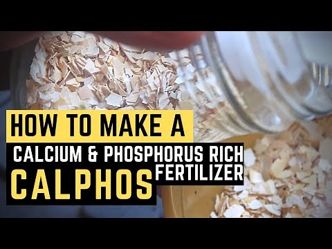 Organic Fertilizer: How to make Calphos | Calcium & Phosphorus Rich Fertilizer | PH