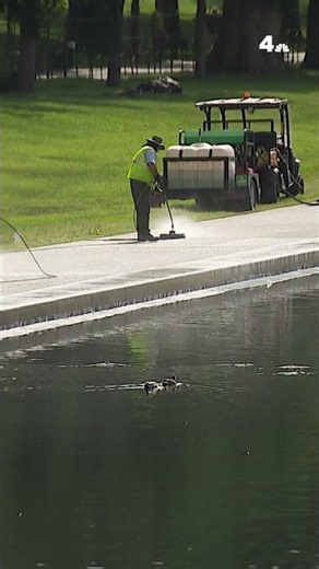 Water is now back in the Reflecting Pool | NBC4 Washington