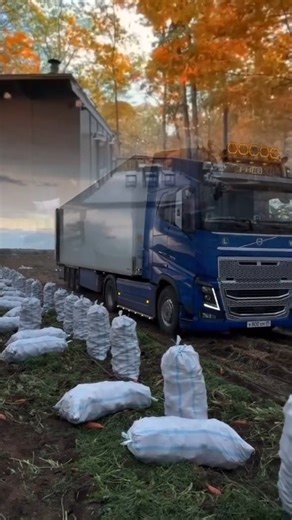 #facebookreels #love #music #songss | Re Gina