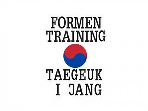 Taekwondo 2. Form: Taegeuk l Jang