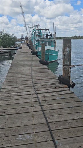 88K views · 1.7K reactions | Reloading your Tackle shop with Super Fresh Shrimp , Blue Crabs 呂 , Squid , and Fresh Finger Size & Medium Size Mullet. We are 100% ready for this coming week. Saludos y Que viva la Pesca ⚓️.   | Brownsville Bait & Tackle | Facebook