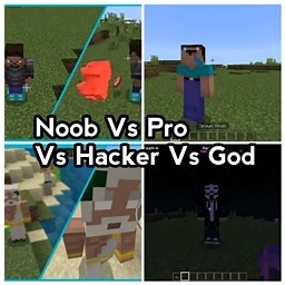 Noob Vs Pro Vs Hacker Vs God