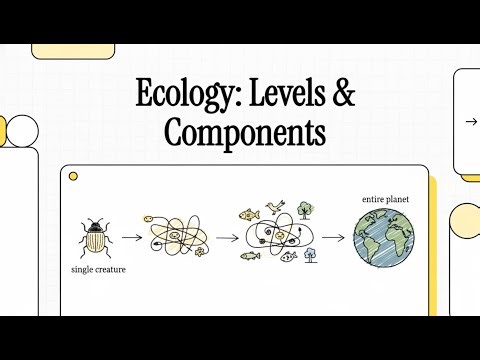 Ecology: Levels of Organization and Ecosystem Components