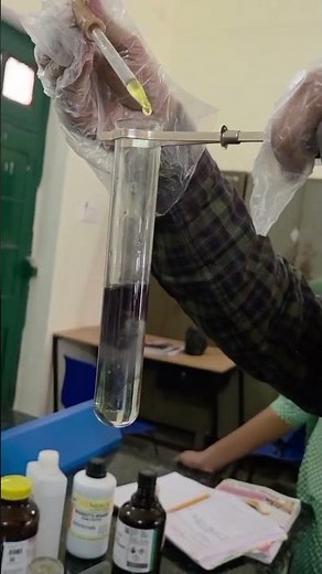 Test of phenol (Ferric Chloride Test)