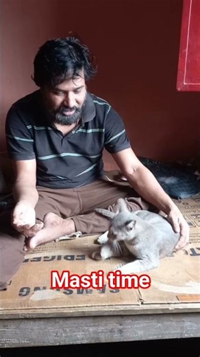 Spine code in d5d6🇮🇳❤️🌄