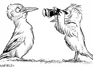 Birdwatching for Beginners Lecture with Popular Artist & Naturalist