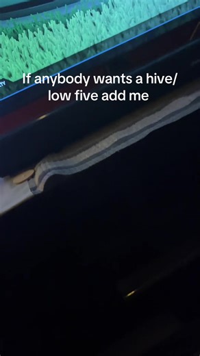 #rocket #leage #viral #fypppppppppppppp