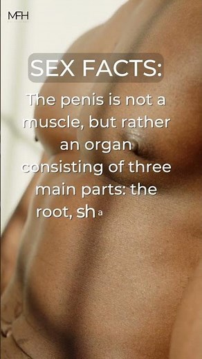 The Anatomy of the Penis: Understanding the Root, Shaft, and Head #facts #shorts #facts #men #trend