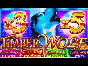 MY LUCKY DAY X15 MULTIPLIER!! 🐺 MEGA POWER TIMBER WOLF Slot Machine (ARISTOCRAT GAMING)