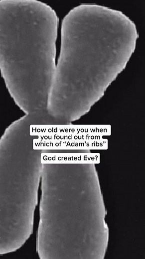 X vs. Y Chromosome: Fascinating Facts About Human Genetics