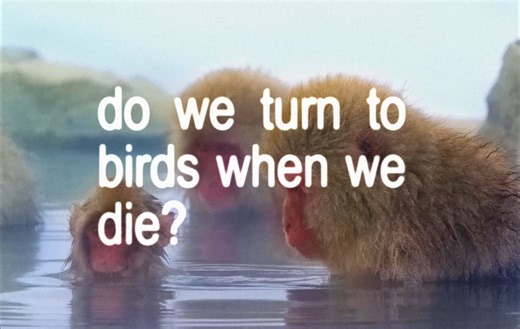 lyricalmonkeys on Instagram: "and they came back / this one here #kanyewest #kanye #jamesblake #lyrics #edit #monkey #song #music"