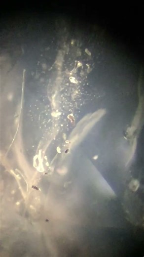 Sapphire's Secret World: Crystals Talking Back!