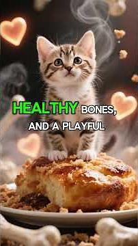 The Right Milk for Kittens 🍼 | Healthy Kitten Care Tips 🐾