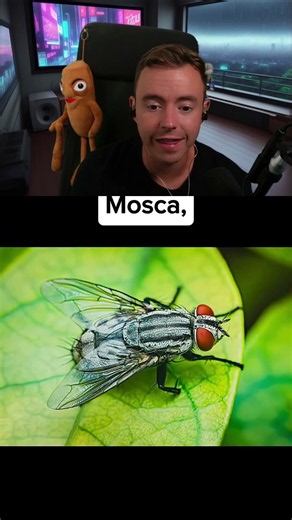 COMO VEN EL MUNDO LOS ANIMALES