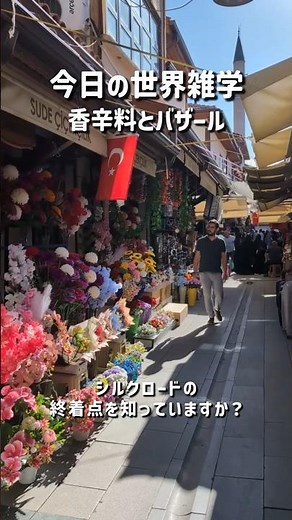 【雑学】シルクロードの終着点はどこ？香辛料と巨大バザールとの関係 トルコ #トルコ旅行 #海外旅行