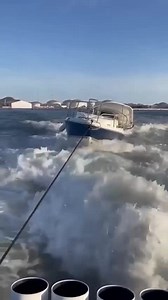 WHALE WATCHING GONE BAD. Thanks to Michael Gates: | Downrigger Shop