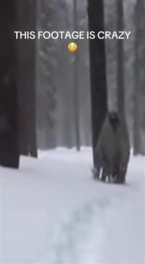 Incredible footage of an alien in a snowy forest! 🤯 #aliens #paranormal #aliensighting #horror #fyp
