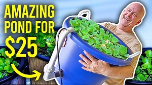 36K views · 978 reactions | Wish you could set up a mini pond that's...