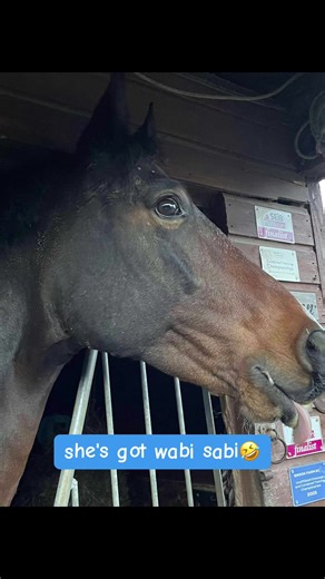 It’s Christmas…. Bah humbug 🤪