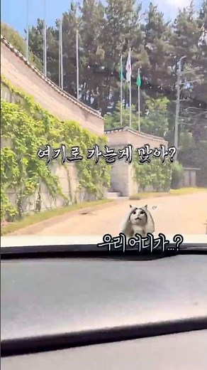 울진 바다뷰맛집카페 울진여행 오면 에메랄드 바다는 꼭 보고 가셔야죠 울진 바다뷰 카페 여기 추천합니다🌊
