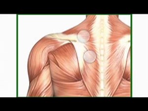 HOW TO massage your back with a KaddyBACK & golf ball
