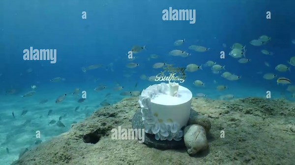 happy birthday cake underwater with some fish around Stock Video Footage - Alamy