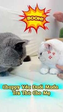 Chuppy Yếu Đuối Muốn Trả Thù Cho Mẹ | Mèo Ú Ớ #Shorts #ThuCung #ChoMeoDrama #PetShorts #BossSen