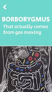 7.2K views · 108 reactions | Seeker's science word of the day: Borborygmus | Seeker by The Verge | Facebook