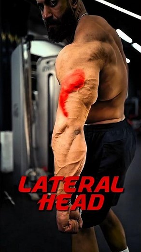 3-Part Tricep Workout: Hit All Heads
